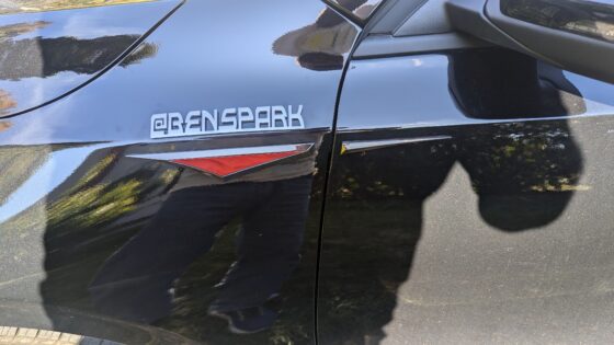 custom BenSpark emblem