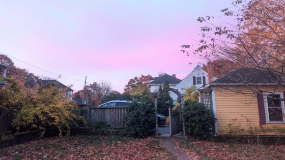 pink sky morning