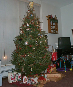Christmas Tree 2003