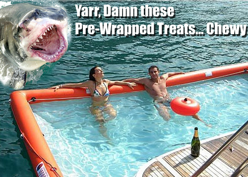 Shark and Pre-Wrapped Treats