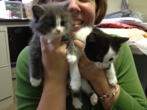 Allison holding Torunn and Kitty America