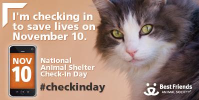 National Animal Shelter Check-in Day  On November 10, 2012, Americans will shine a giant, digital spotlight on homeless pets around the country for the 2nd Annual National Animal Shelter Check-in Day.