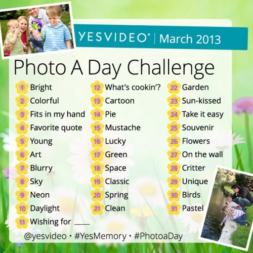 YesVideo PhotoADay Challenge for March