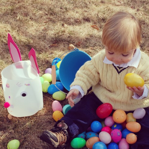 Andrew Hoarding Eggs