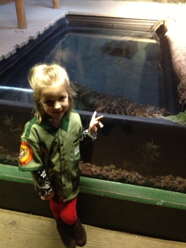 The Alligator at Capron Park Zoo