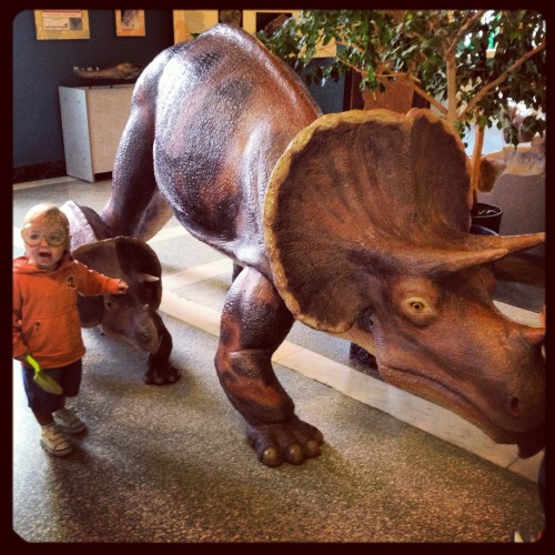 Andrew and the Triceratops