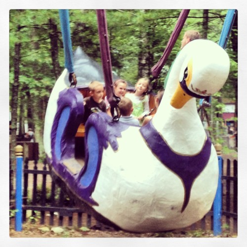 Swan Swing