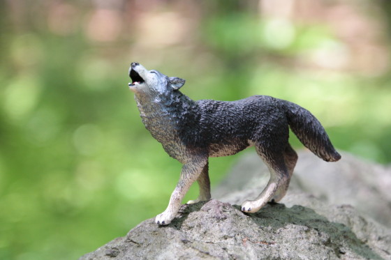 Safari Ltd. Grey Wolf