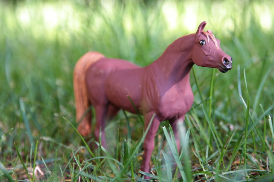 Arabian Horse by Safari Ltd.