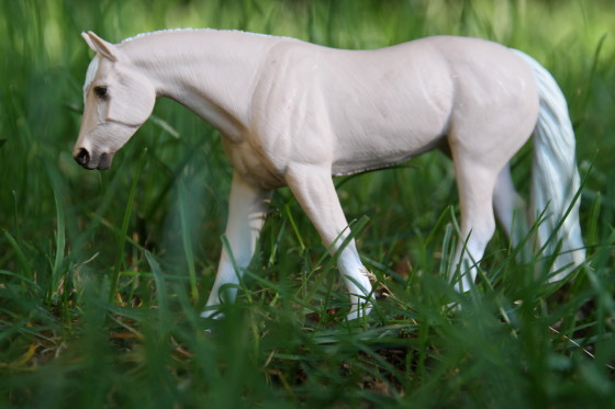 American Quarter Horse by safari Ltd.