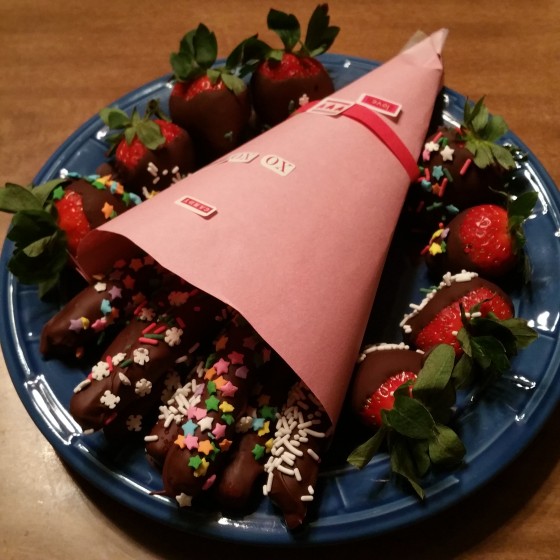 Chocolate Dipper Strawberries and Pretzel Rods