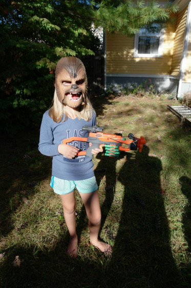 Chewbacca mask and Bowcaster