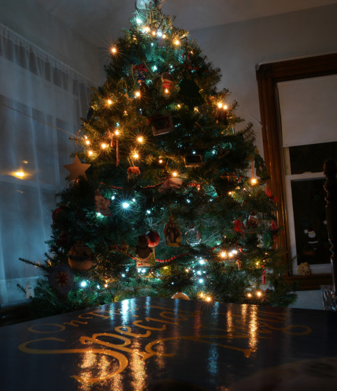 Star Image Christmas Trees