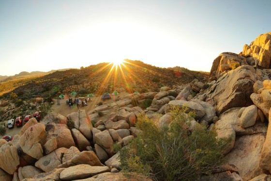 Sunrise in Joshua Tree