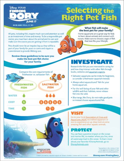 Finding Dory Pet Fish