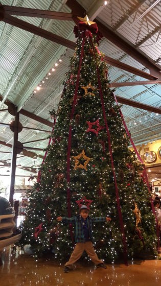 Bass Pro Christmas Tree