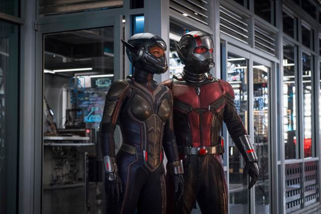 The Wasp and Ant-Man Costumes