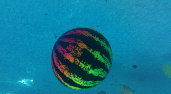 Change the Game in the Water with Watermelon Ball Jr. from PlaSmart