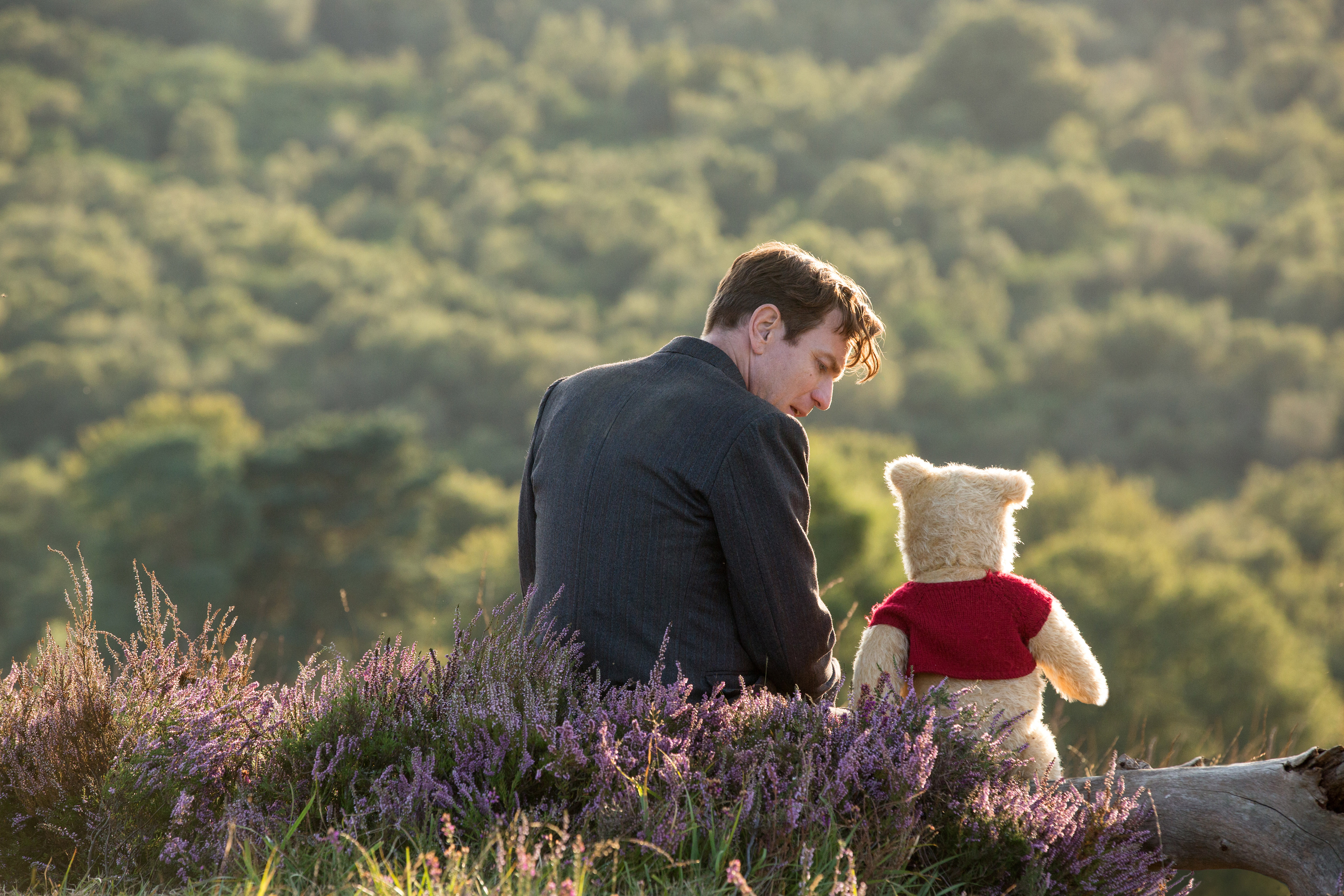 Christopher Robin and Pooh sit on a Log
