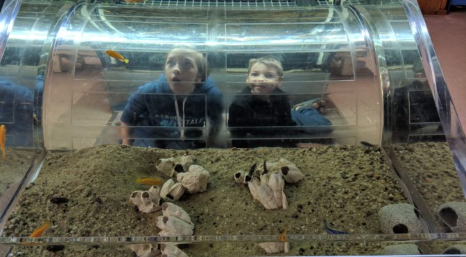 Family Adventure: Biomes Marine Biology Center