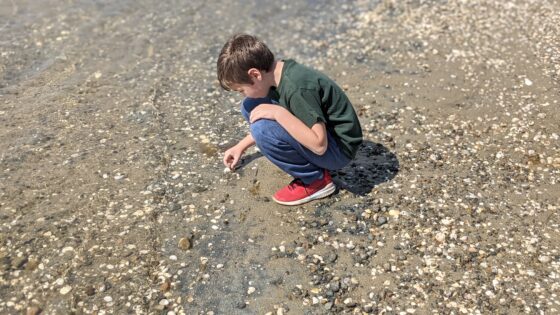 Unplugged at the beach