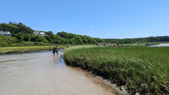 Wood Neck Beach