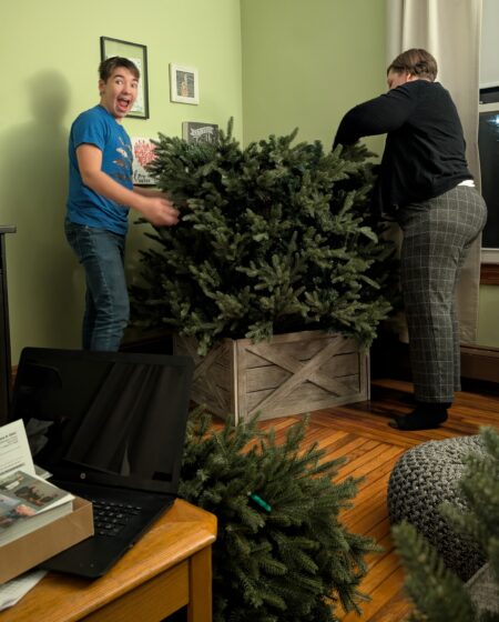 Putting up the tree