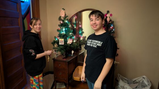 decorating the trees